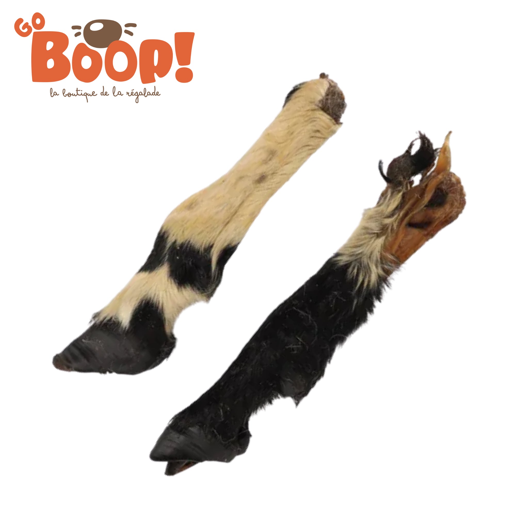 Pied de mouton poilu