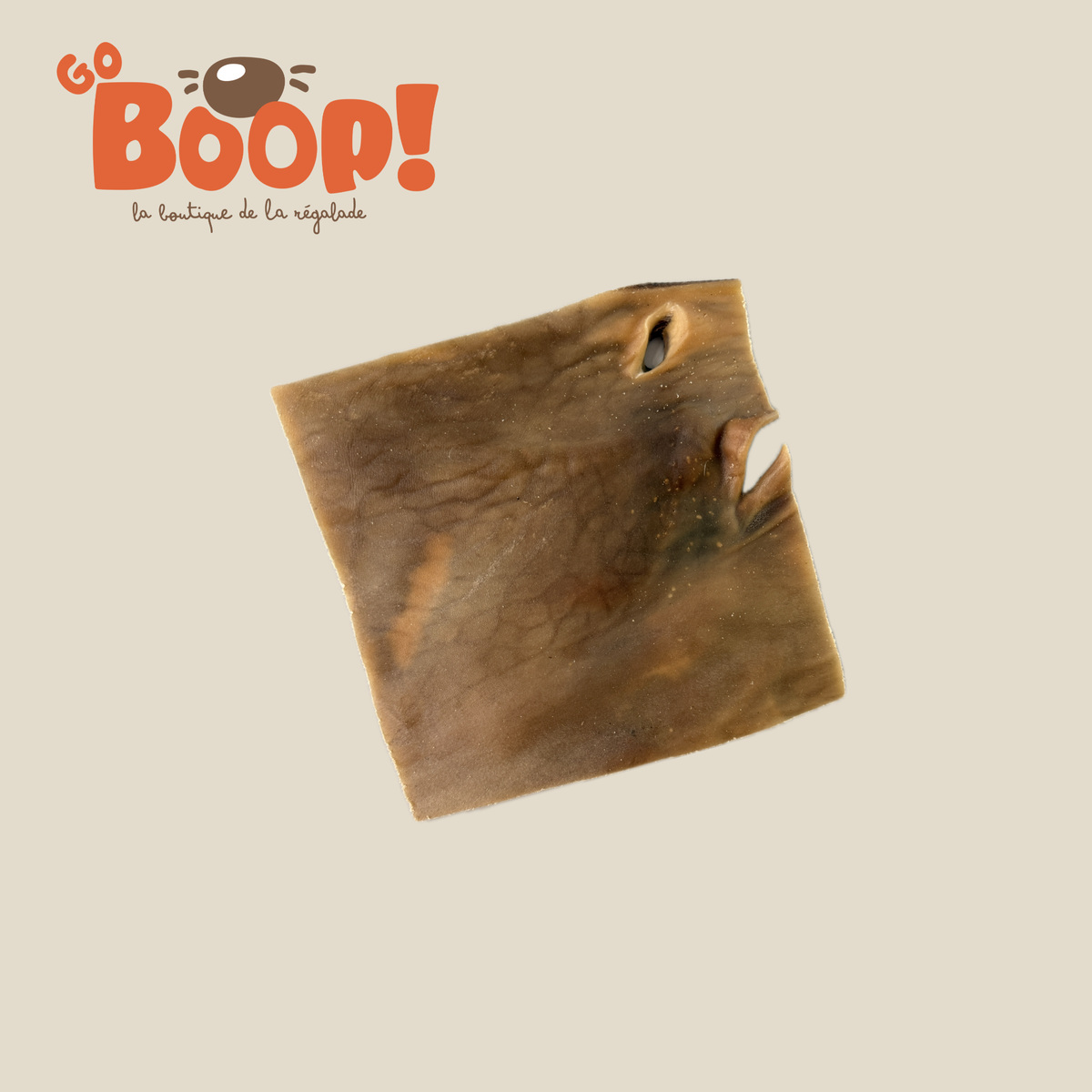 Plaque de Chameau (20cm - L/Xl)– Friandise naturelle à mâcher pour chien