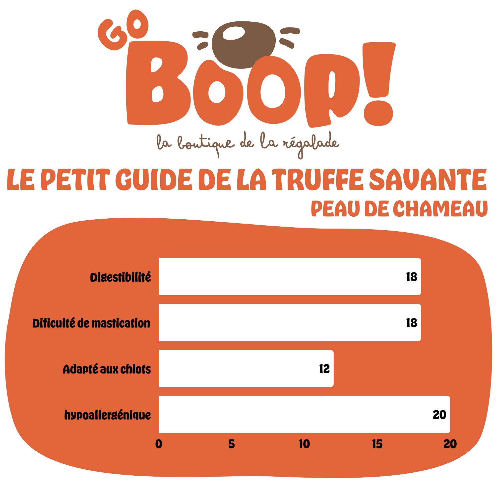 Peau de chameau 40 cm – Friandise naturelle à mâcher pour chien