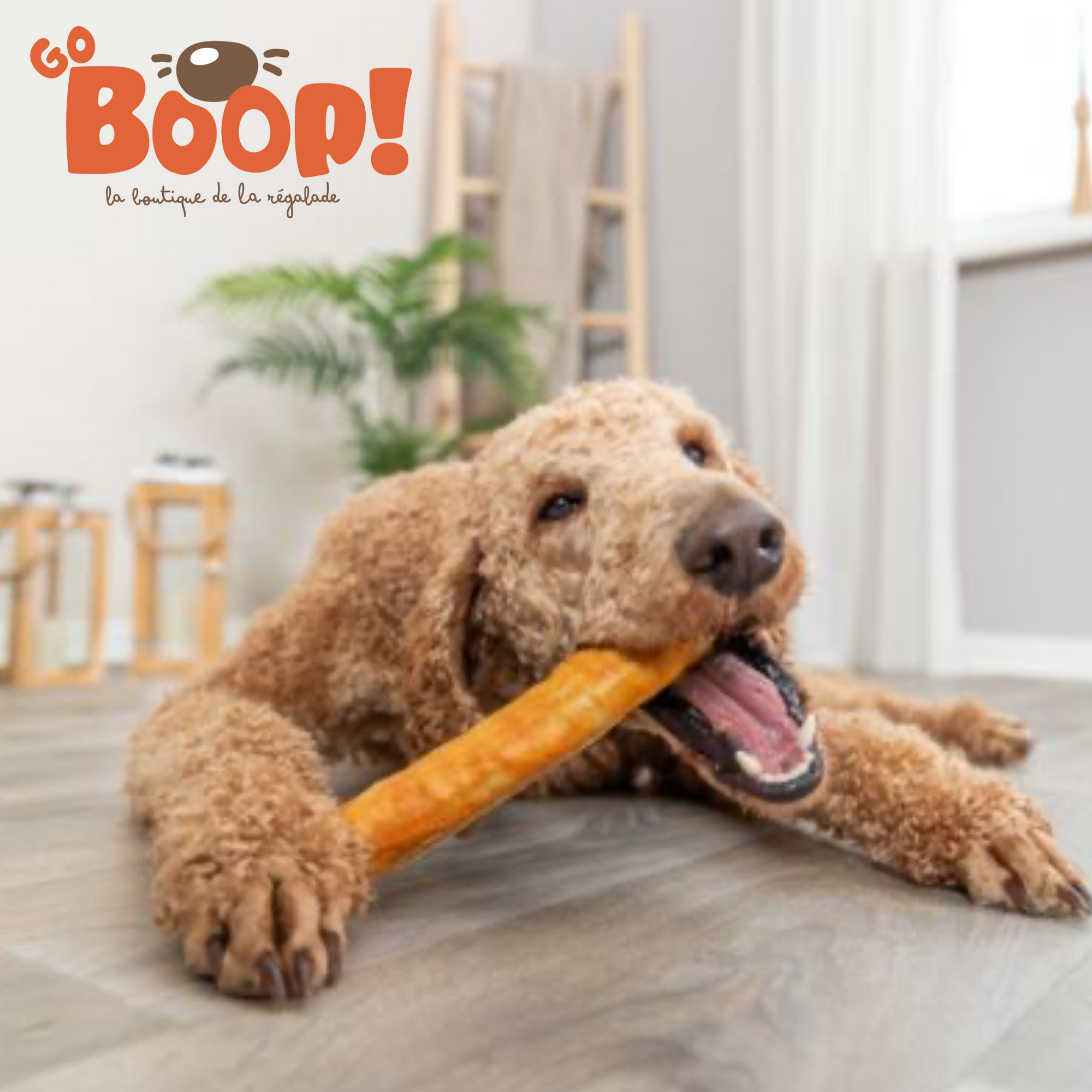 Gigantesque bâton de collagène poulet (20cm) – Friandise naturelle à mâcher pour chien