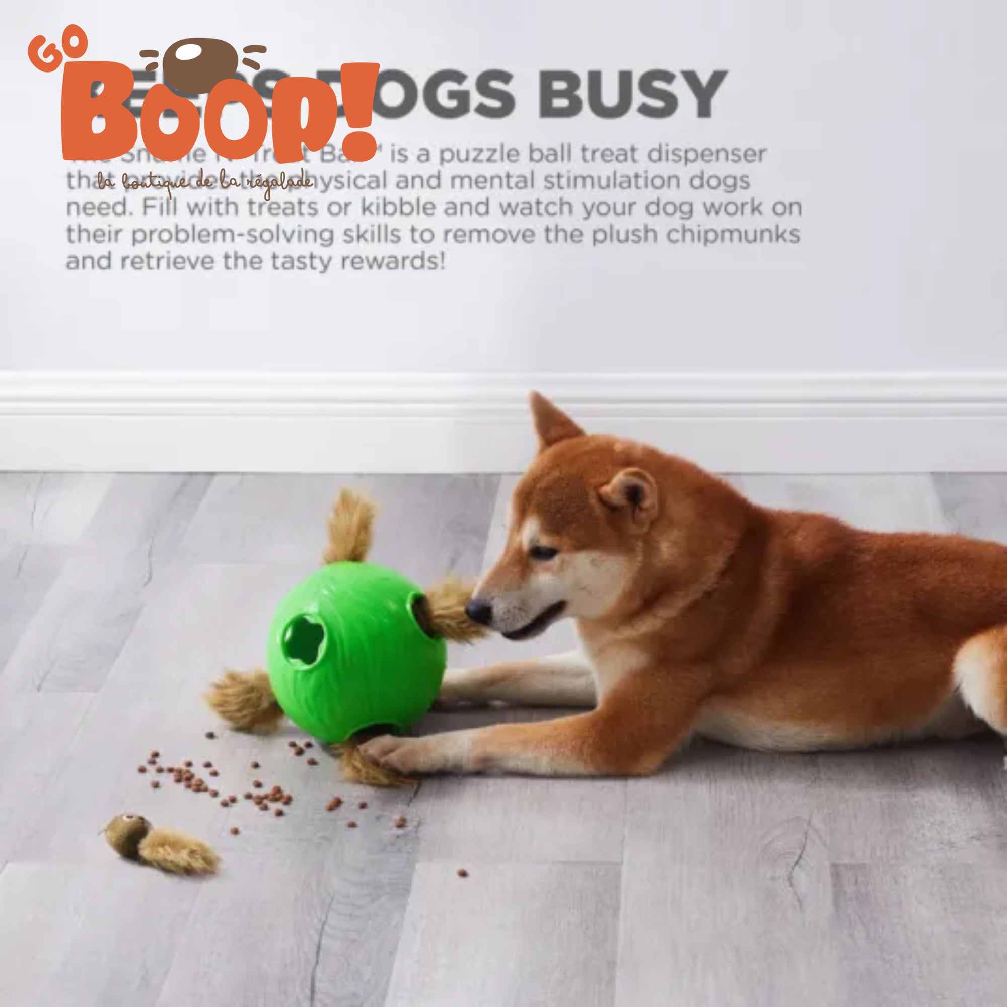 Nina Ottosson - Snuffle and Treat