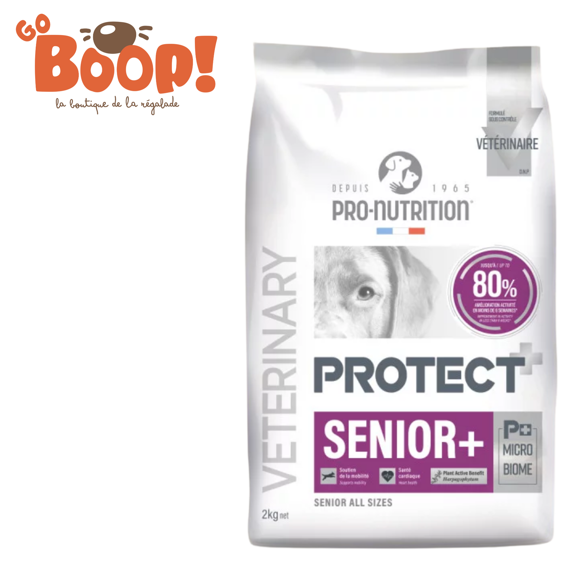 Protect Senior+ – Croquettes chien senior | Vitalité & mobilité – Formule santé