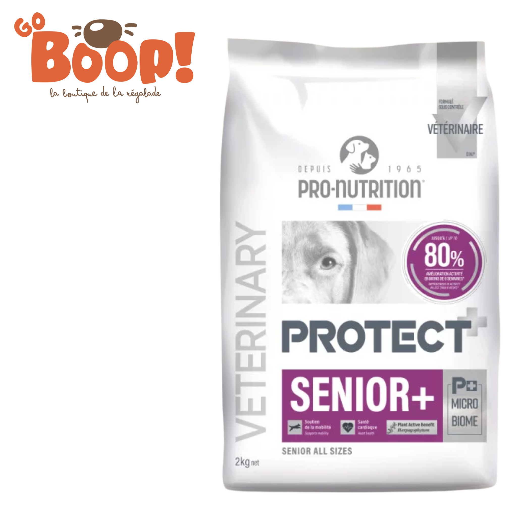 Protect Senior+ – Croquettes chien senior | Vitalité & mobilité – Formule santé