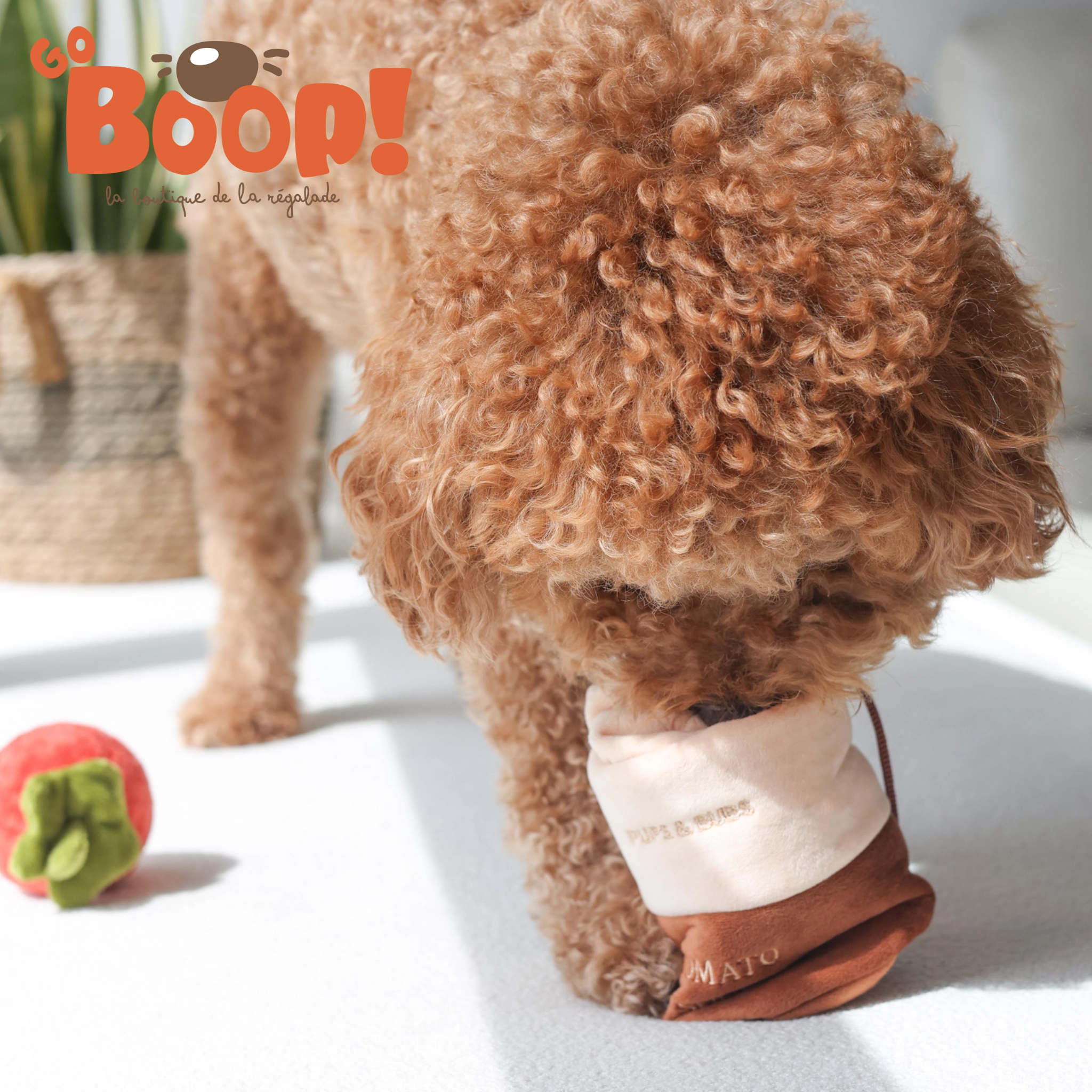 Soupe de tomate de Flair - Pups and Bubs