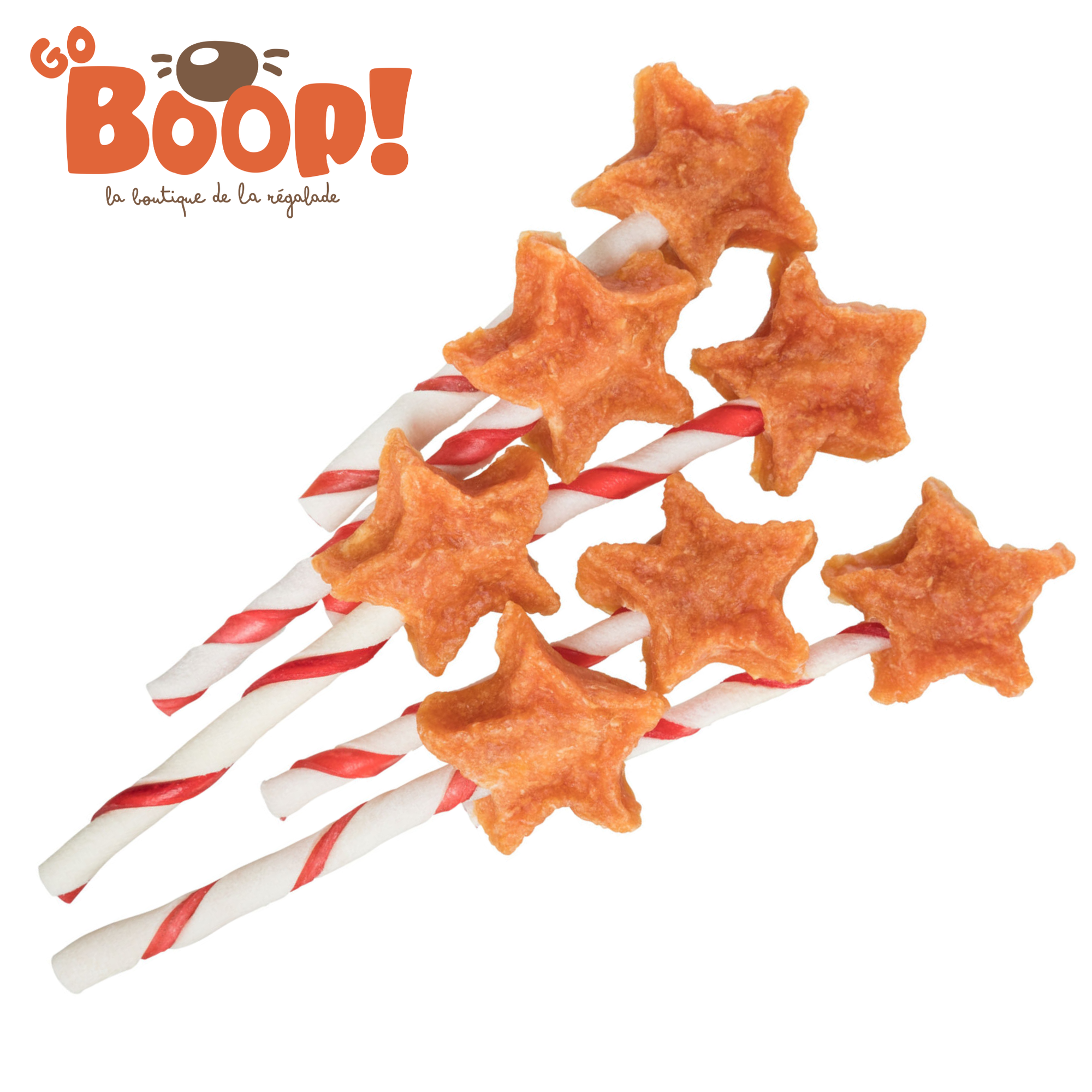 Sucette de Noel magique - Poulet et Riz