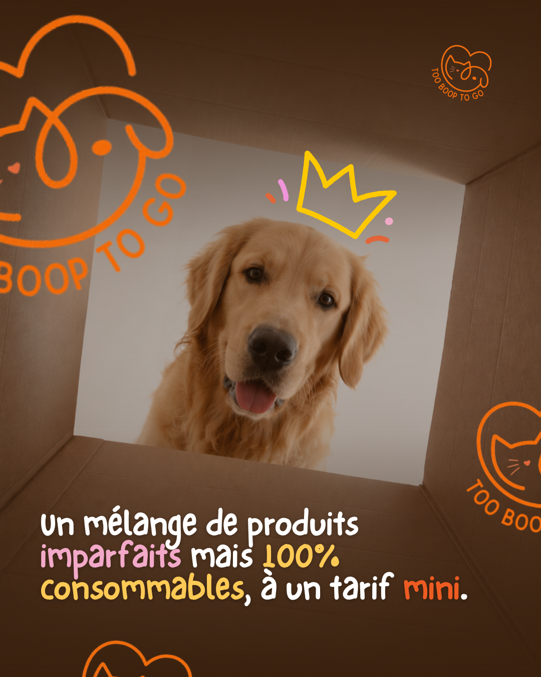 Box Too Boop To Go ♻️🐾 (1kg)