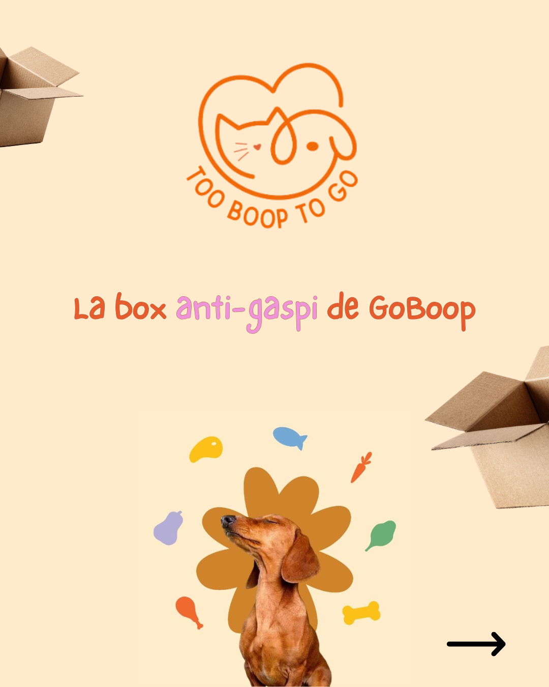 Box Too Boop To Go ♻️🐾 (1kg)