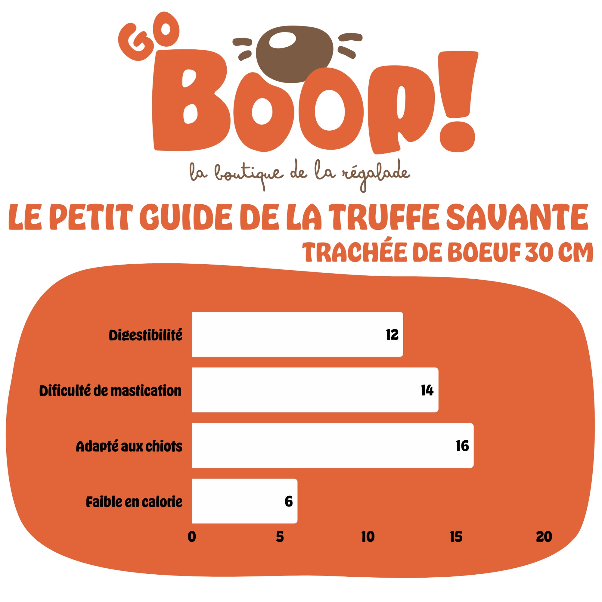 Trachée de bœuf XL 30 cm – Friandise naturelle à mâcher pour chien