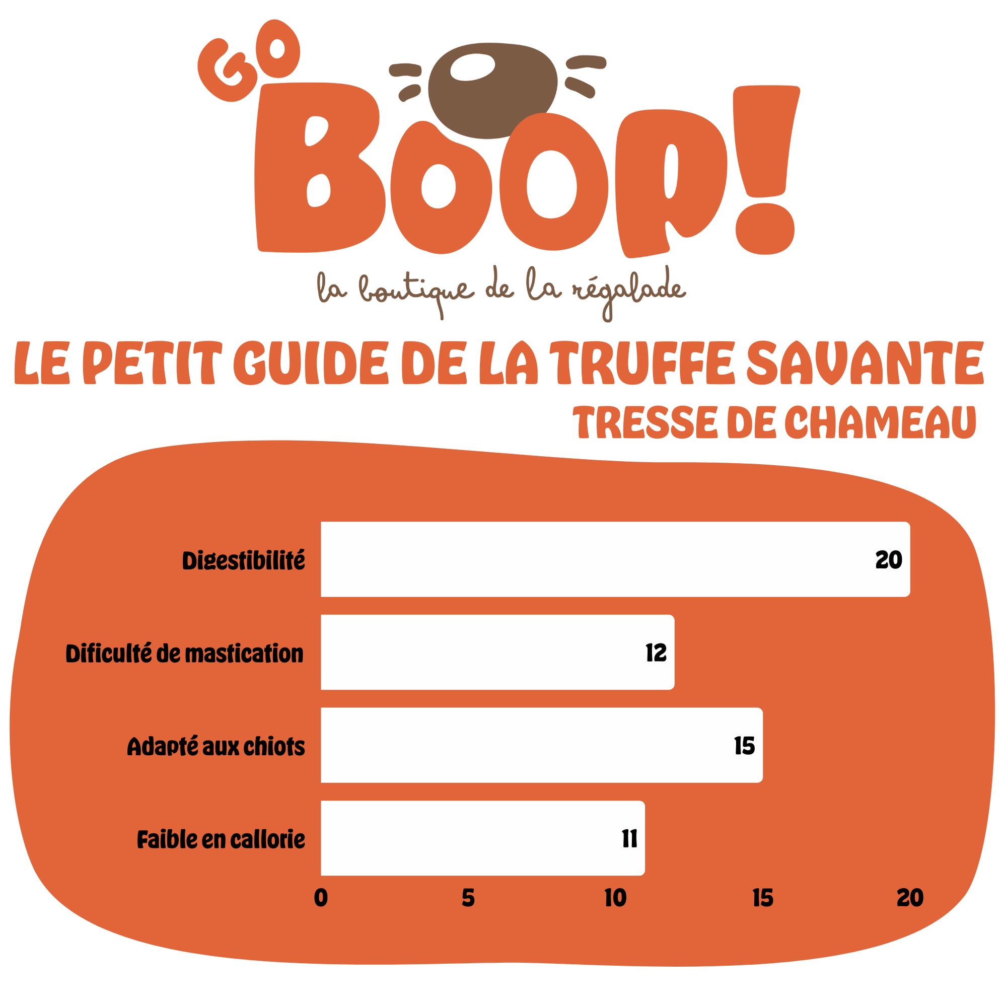 Tresse de chameau – Friandise naturelle à mâcher pour