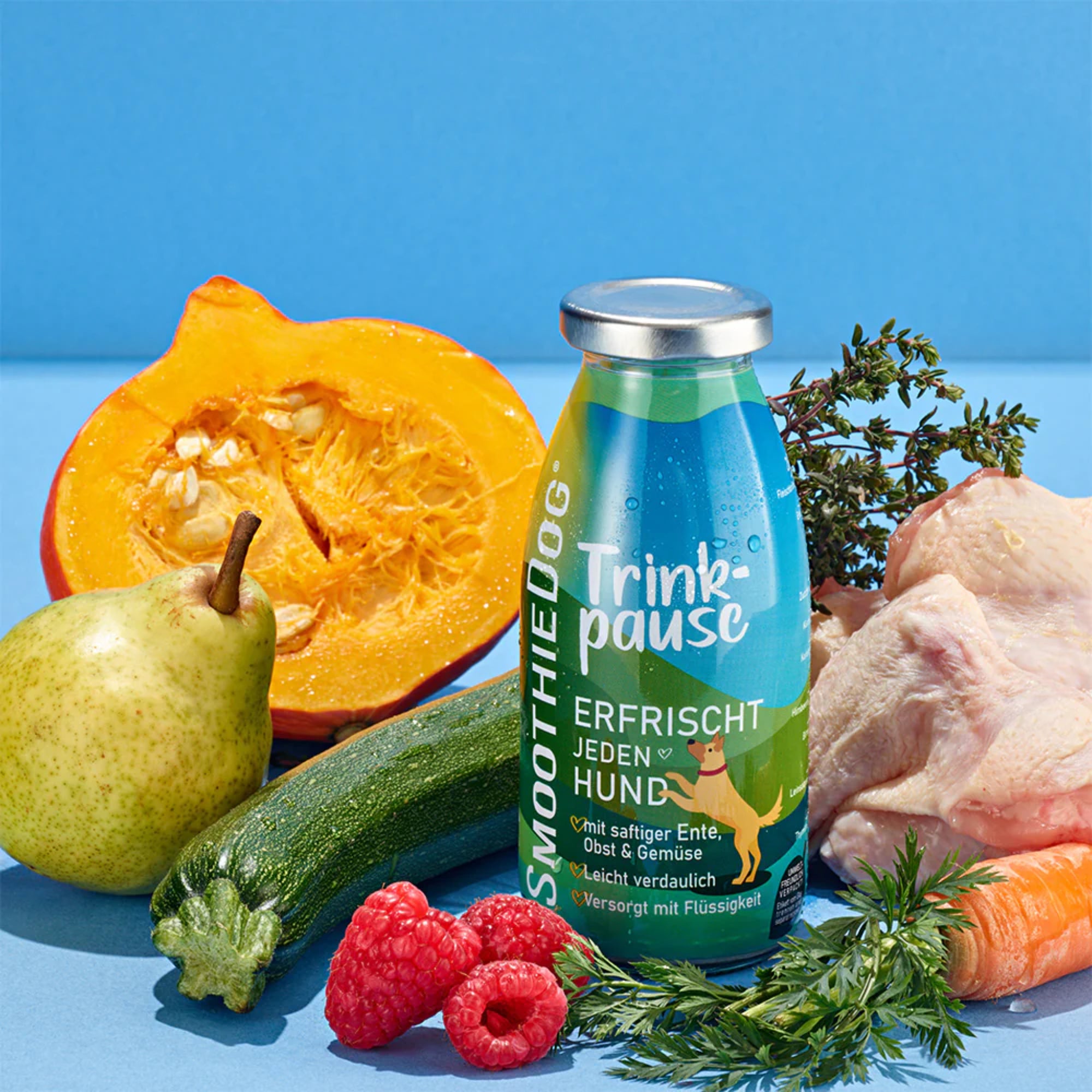 SmoothieDog Trinkpause - Smoothie canard 250ML