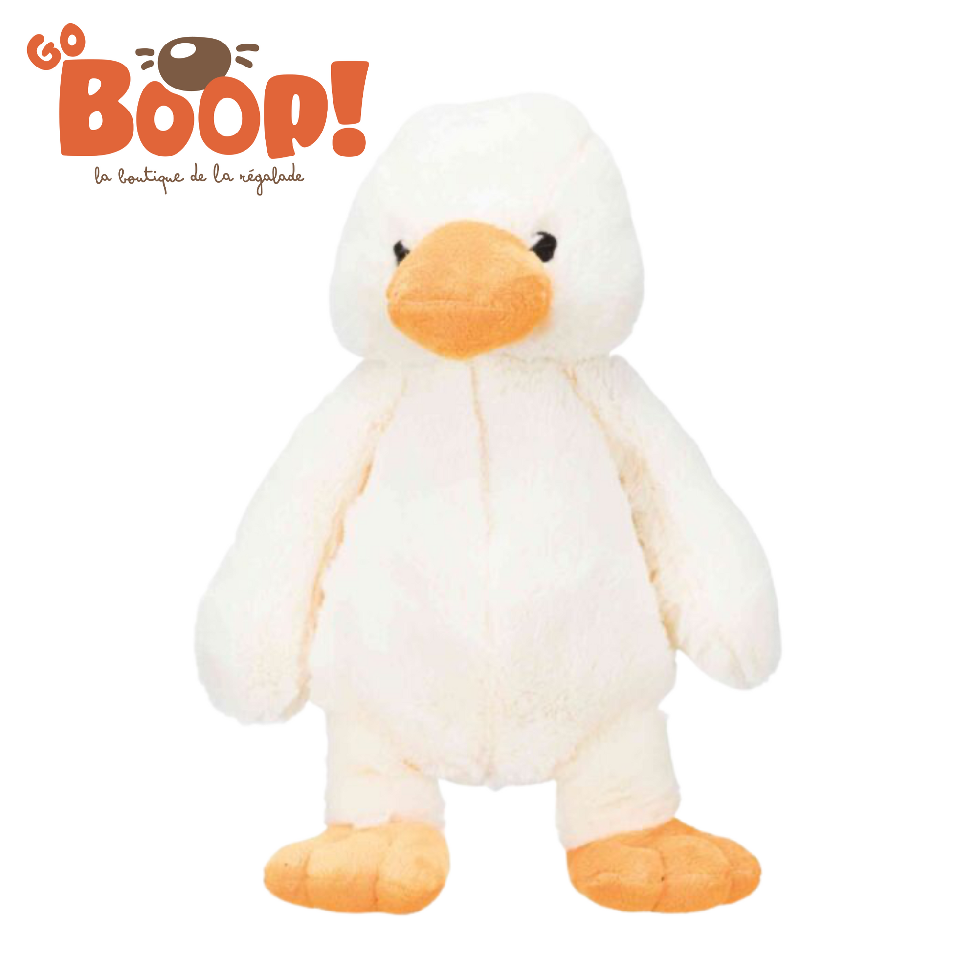 Pas vilain petit canard