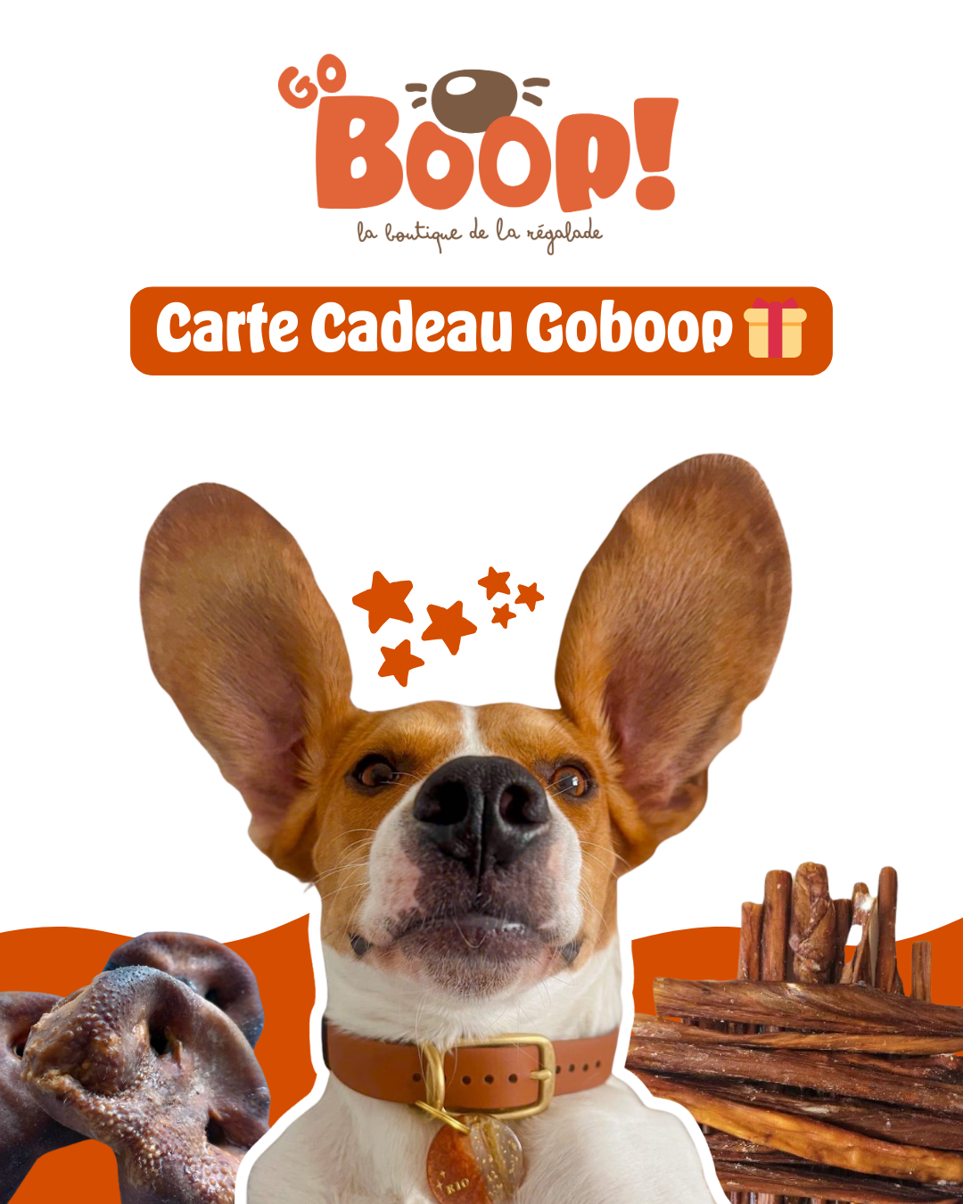 Carte-cadeau Goboop 🐾